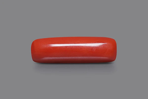 Moonga (Red Coral)